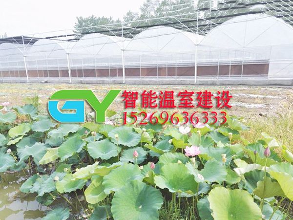 玻璃智能温室