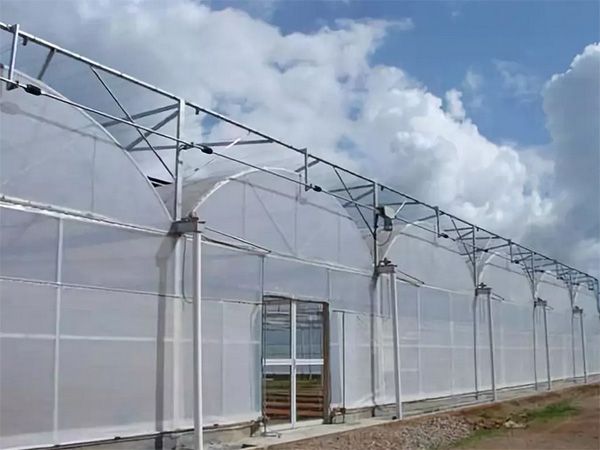 连栋薄膜温室大棚主要适合使用在哪些范围内