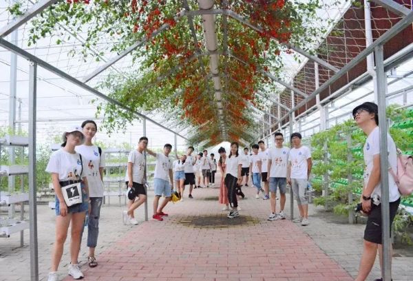 漂亮的休闲景观温室，成为休闲农业盈利增长点