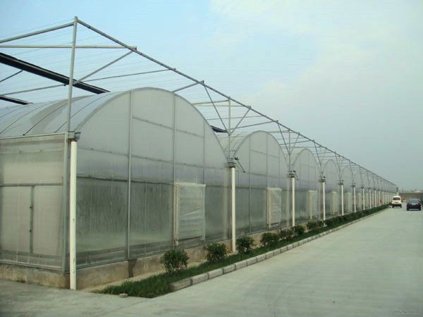 加温型日光温室工程和节能型日光温室工程的区别 