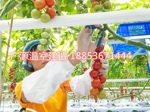 微信图片_20190102173110.jpg