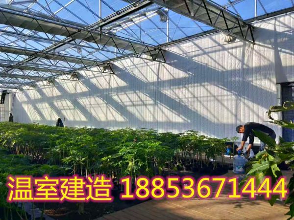 微信图片_20191128172402.jpg
