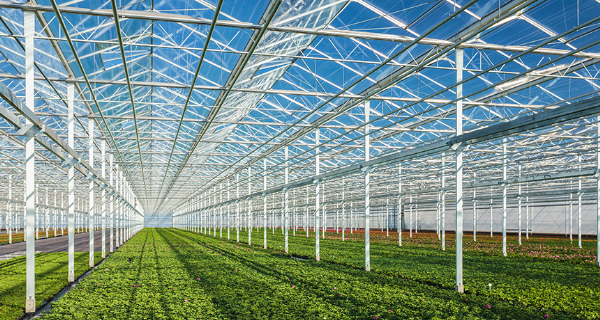 860_solar_greenhouse - 副本.png