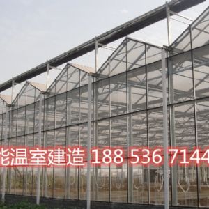 <img src=upfile/images/2020/01/09/small3_15785407062393033.jpg height=150>